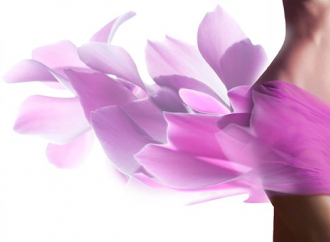 Toutes les techniques amincissantes