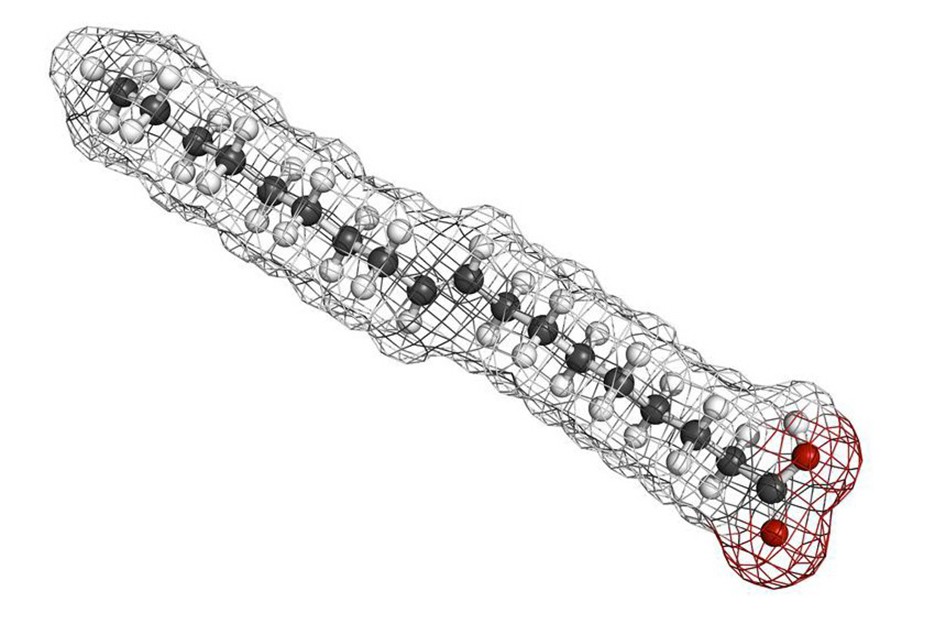 Qu'est-ce que les matières grasses hydrogénées ?