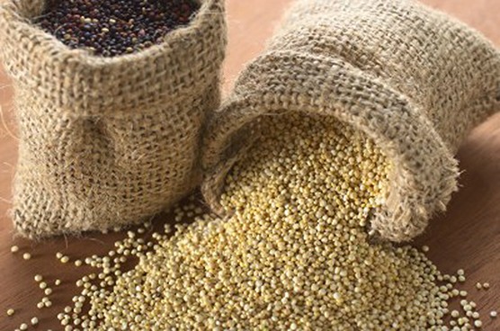 Le quinoa : Prenez-en de la graine !