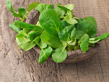 La mâche, source naturelle d'oméga 3