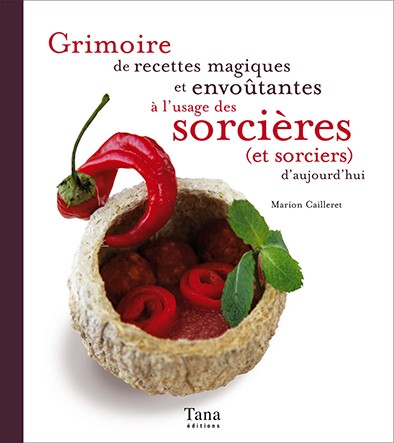 Grimoire de recettes magiques et envoûtantes