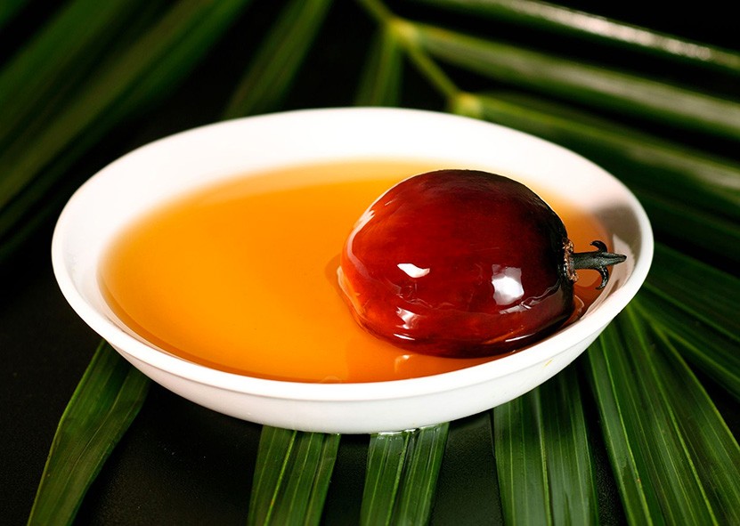 L'huile de palme